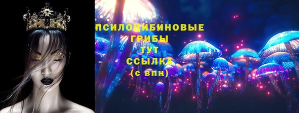 стаф Балахна