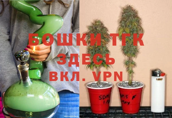 стаф Балахна